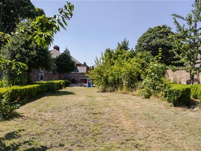 Picture 36